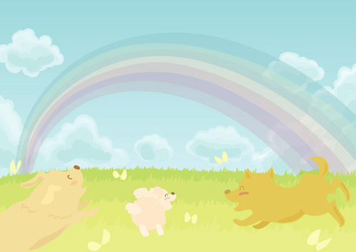 虹の橋 素敵な詩がありました Ohana オハナ ペットの移動火葬 虹の橋 素敵な詩がありました Ohana オハナ ペットの移動火葬